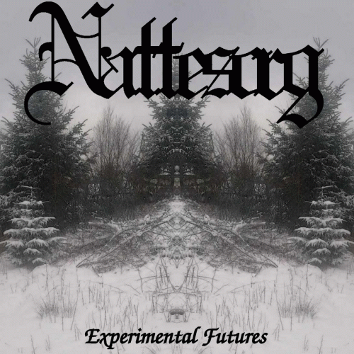 Experimental Futures